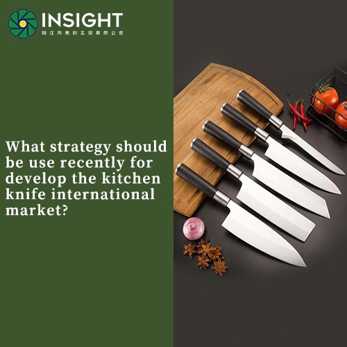 What Strategy Should Be Use Recently for Develop The Kitchen Knife International Market?