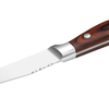 Red Stainless Steel Steak Knife Set