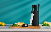 //iororwxhiqijjo5q.ldycdn.com/cloud/lkBpnKrpjmSRjlqknjmojp/Top-Knife-Set-and-Block-Manufacturers-in-Russia.jpg