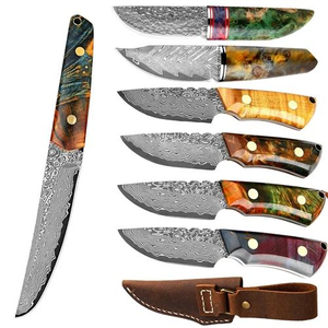 Which Knife Set Is Best for Daily Cooking_3.jpeg