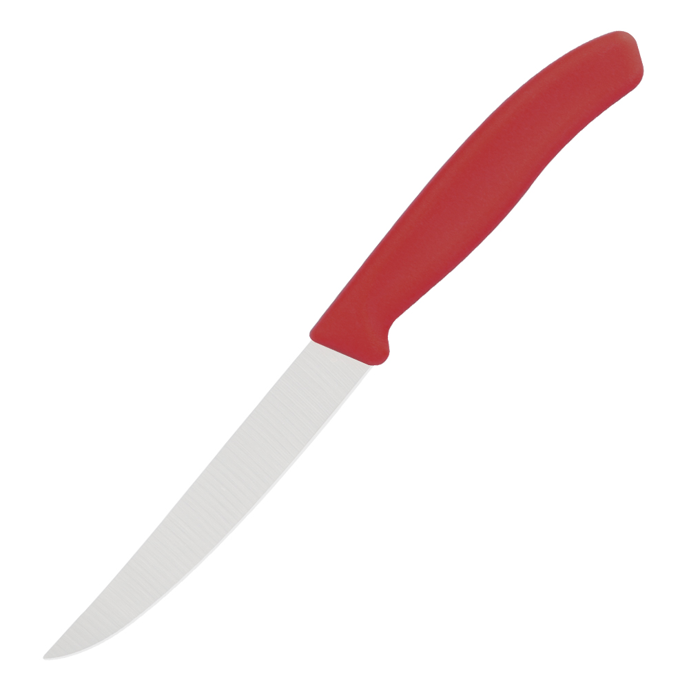 Stainless Steel Serrated Steak Knives