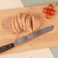 //iororwxhiqijjo5q.ldycdn.com/cloud/llBpnKrpjmSRjlokmqqijp/Top-Bread-Knives-Manufacturers-in-Spain.jpg