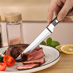 Circular Steak Knife for New Launch.png