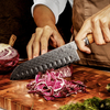 Professional High Carbon Santoku Knife