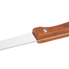 Stainless Steel Steak Knife Set with Wood Handle