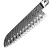 Professional High Carbon Santoku Knife