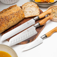 //iororwxhiqijjo5q.ldycdn.com/cloud/loBpnKrpjmSRilokiooljq/Top-10-Kitchen-Knife-Manufacturers-in-France_3.jpg