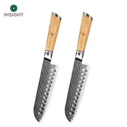 Professional High Carbon Santoku Knife