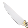 Stainless Steel Plastic Handle Chef Knife