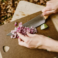 //iororwxhiqijjo5q.ldycdn.com/cloud/lqBpnKrpjmSRiliqkjkijo/Can-I-Bring-Cooking-Knives-Into-Australia.jpg