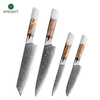 Damascus Kitchen Knife Set With Resin Handle