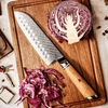 Professional High Carbon Santoku Knife