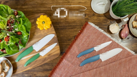 //iororwxhiqijjo5q.ldycdn.com/cloud/lrBpnKrpjmSRilqjqnmrjp/What-s-the-Difference-Between-Western-and-Japanese-Chef-Knives_2.jpg