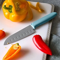 //iororwxhiqijjo5q.ldycdn.com/cloud/lrBpnKrpjmSRjlmrlrrojq/Professional-Santoku-Knif.jpg
