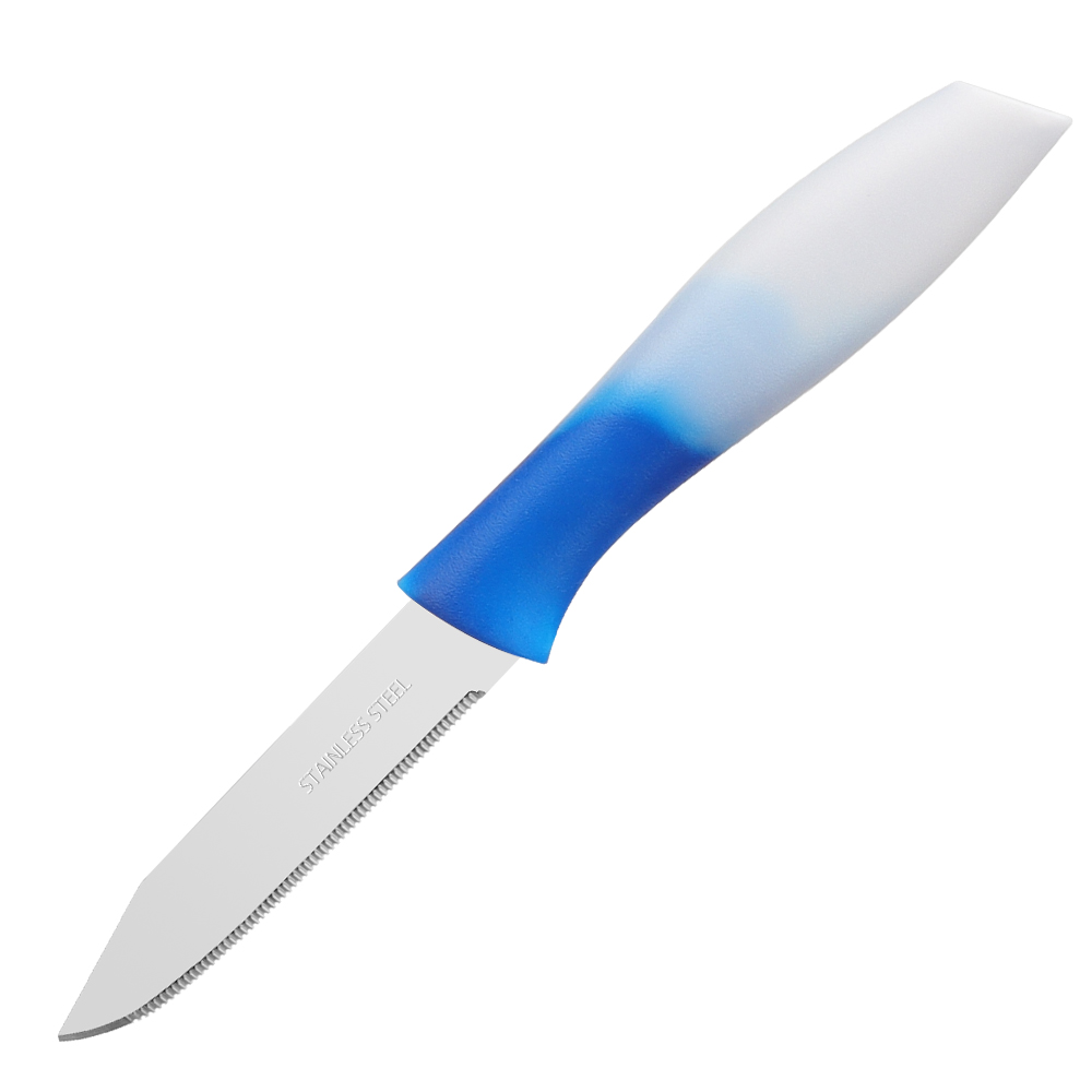 Serrated Edge Stainless Steel Steak Knives