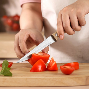 Fashion Unique Steak Knife.png