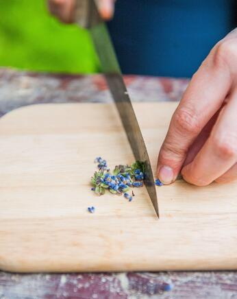 the sharpest kitchen knives1