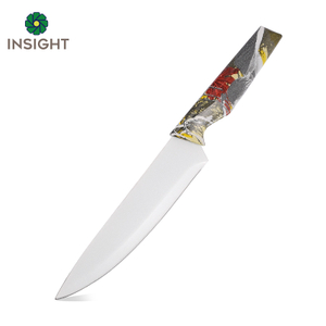 Stainless Steel Plastic Handle Chef Knife