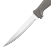 Steak Knife with Plastic Handle