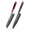 Professional Kitchen Knife with Damascus Steel Blades