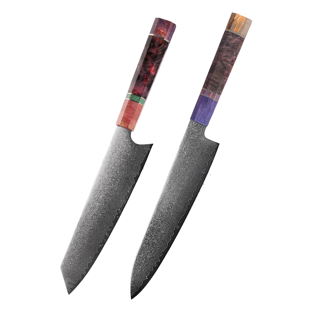 Professional Kitchen Knife with Damascus Steel Blades