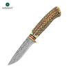 Fixed Blade Knife with Stainless Steel Blade