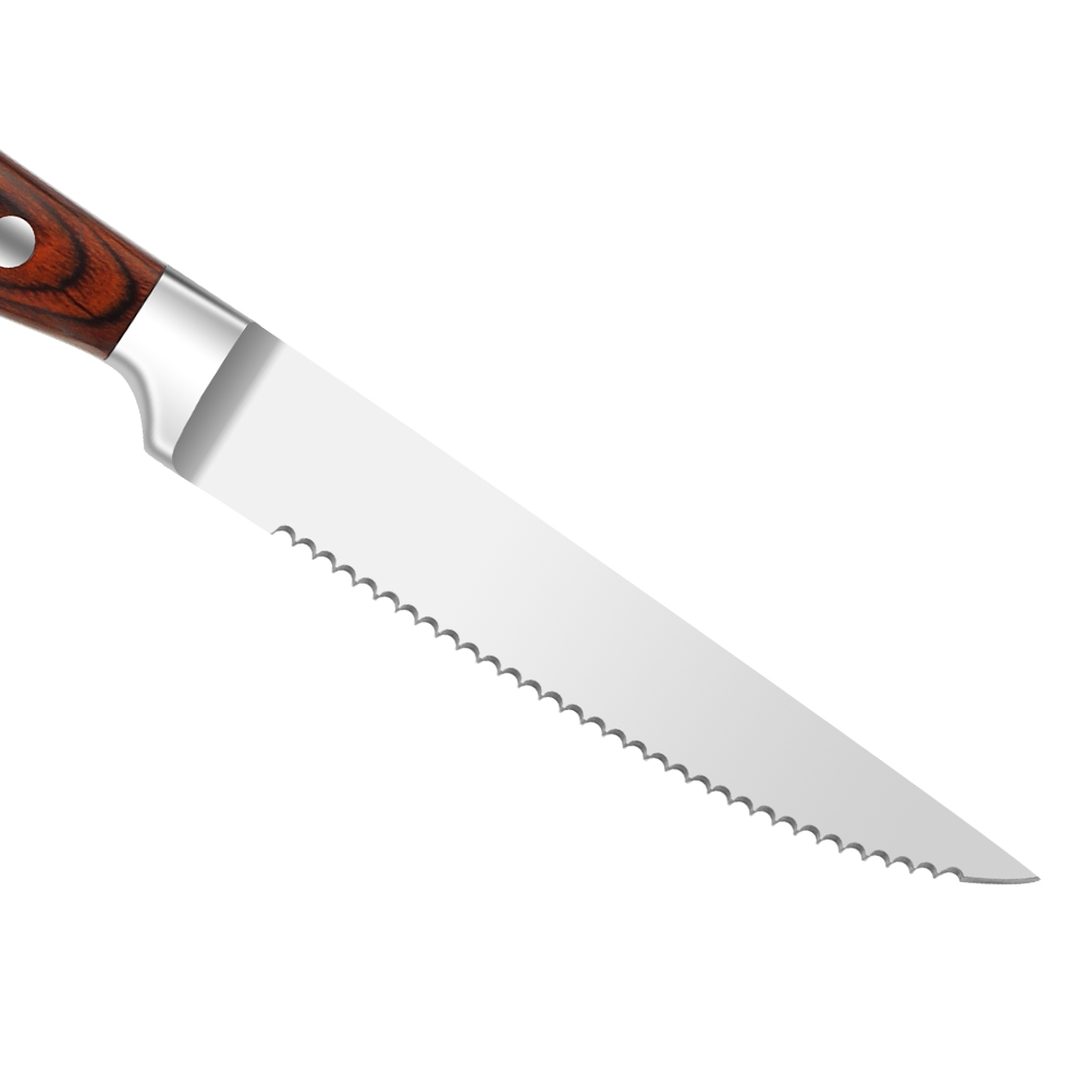Stainless Steel Steak Knife Set