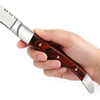 Stainless Steel Steak Knife