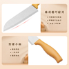 Kitchen Knife with Plastic Handle