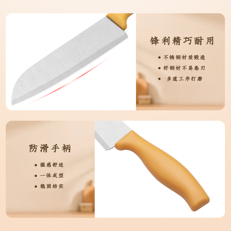 Kitchen Knife with Plastic Handle