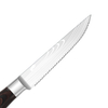 Sharp Serrated Steak Knives