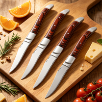 //iororwxhiqijjo5q.ldycdn.com/cloud/pkBpnKrpjmSRmliooqnojm/steak-knife.jpg