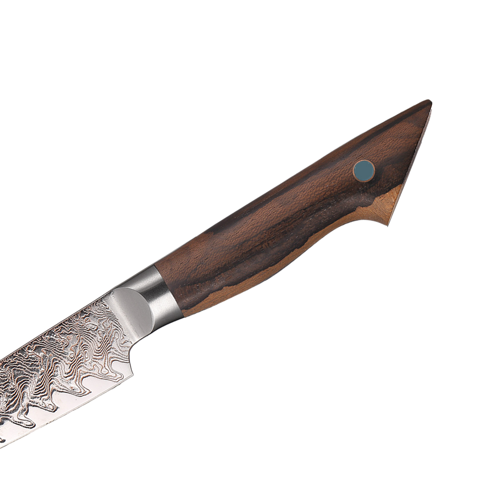 Damascus Steel Sharp Blade Cooking Knife
