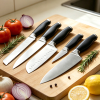 //iororwxhiqijjo5q.ldycdn.com/cloud/plBpnKrpjmSRpllinkkqjp/knife-block.jpg