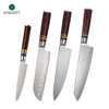 Kitchen Knife With Pakka Wood Handle