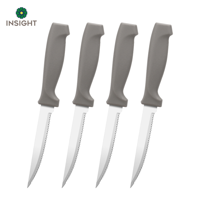 Steak Knife with Plastic Handle