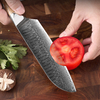 Stainless Steel Knives With Pakkawood Handles