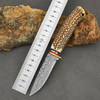 Fixed Blade Knife with Stainless Steel Blade