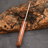 Stainless Steel Butcher Knife