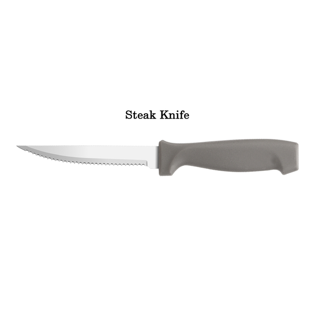 Steak Knife with Plastic Handle