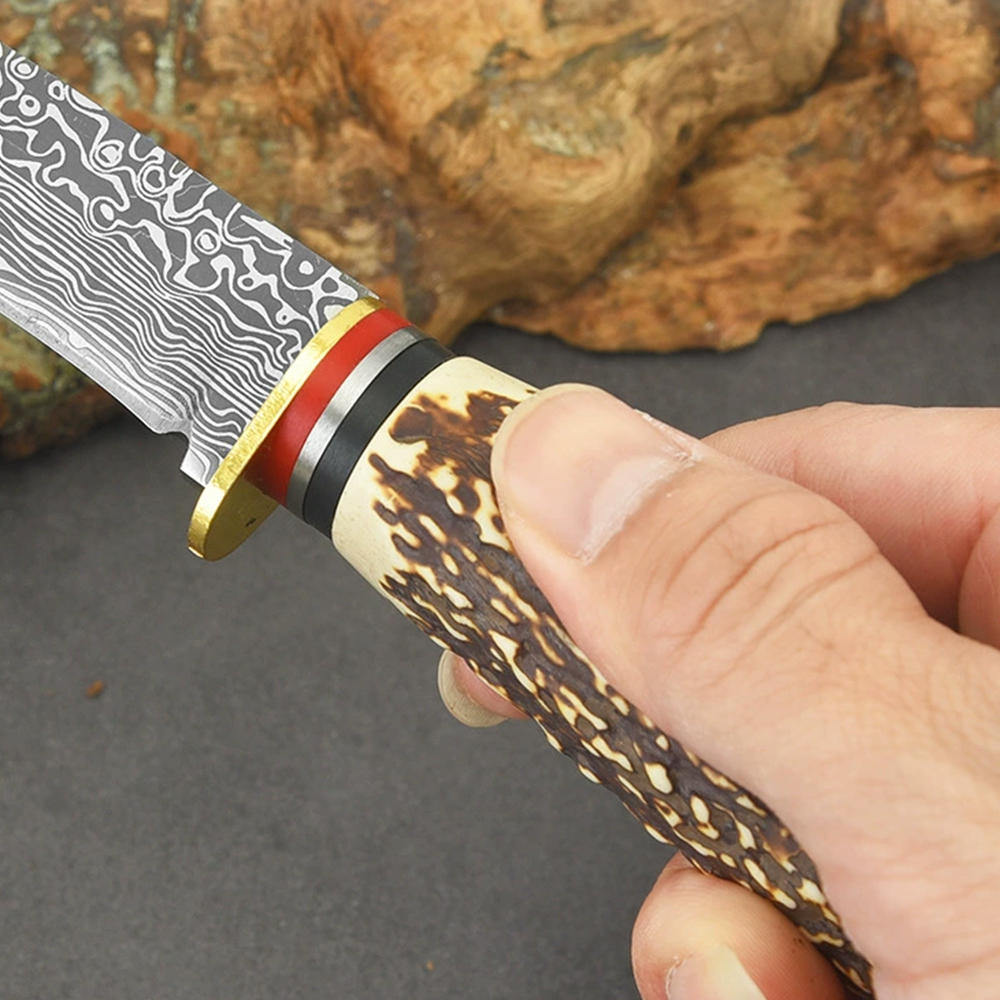 Fixed Blade Knife with Stainless Steel Blade