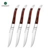 Stainless Steel Steak Knife
