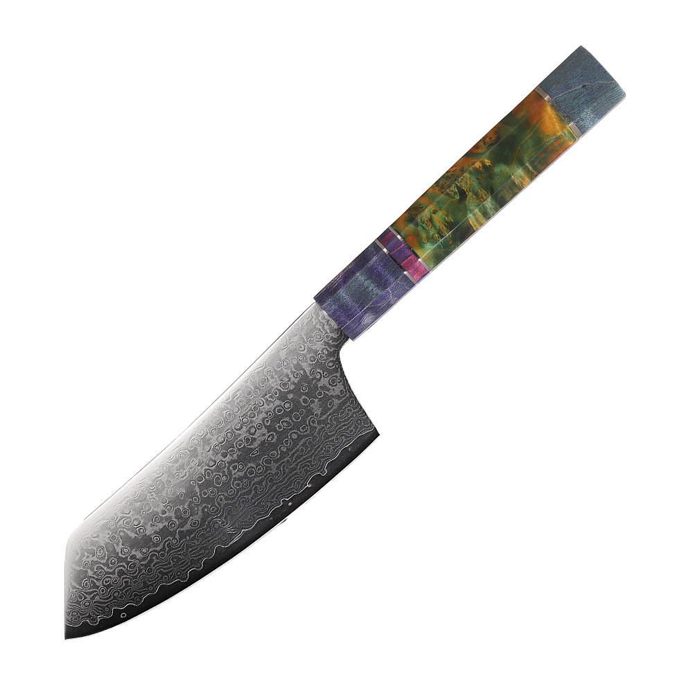 Professional Kitchen Knife with Damascus Steel Blades