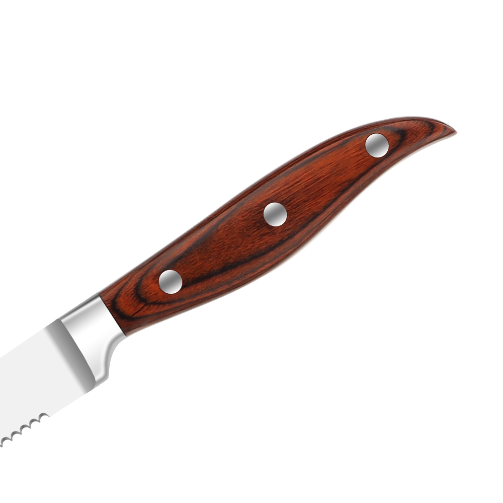 Stainless Steel Steak Knife Set
