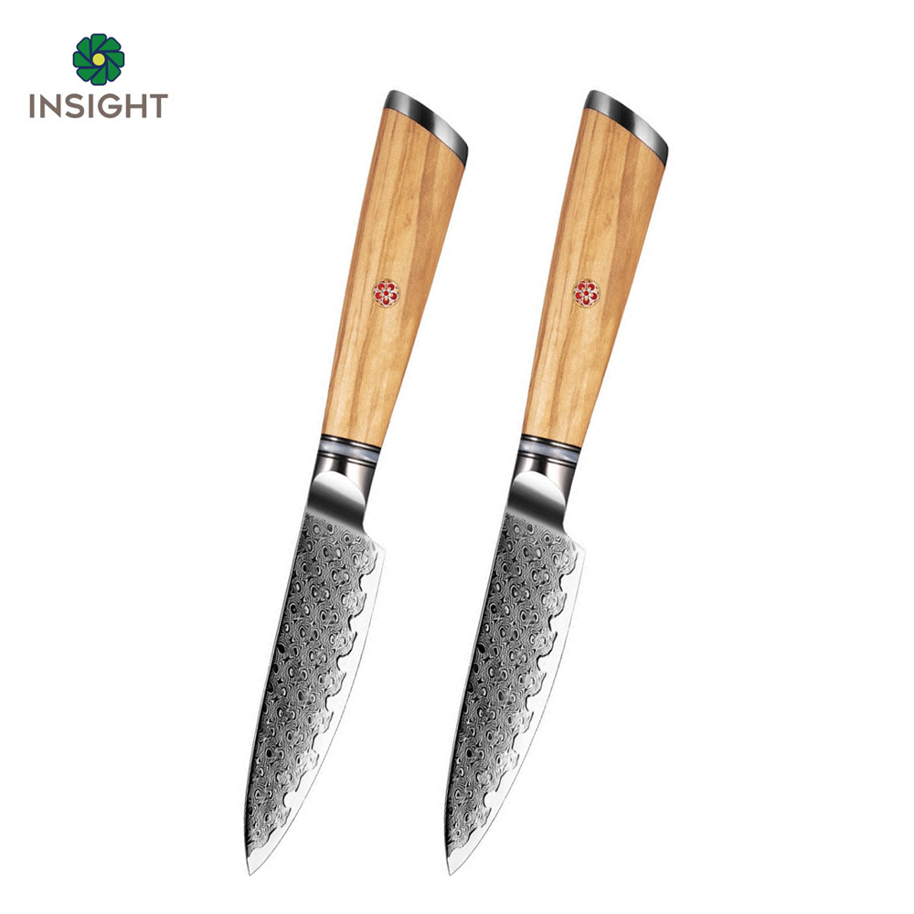 Damascus Paring Knife with Olive Wood Handle