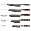 Professional Kitchen Knife with Damascus Steel Blades