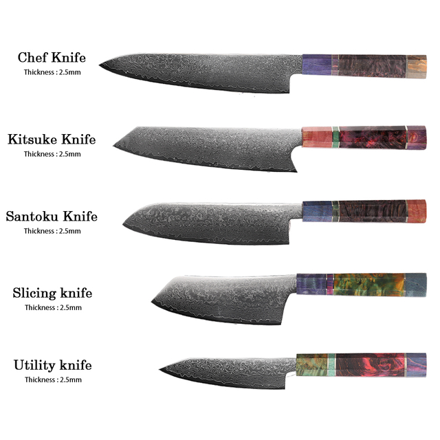 Professional Kitchen Knife with Damascus Steel Blades