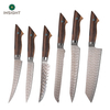 Damascus Steel Sharp Blade Cooking Knife