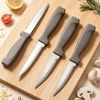 Steak Knife with Plastic Handle
