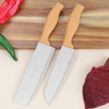 Kitchen Knife with Plastic Handle